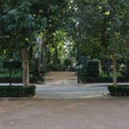 Fabuloso Piso Junto A Paseo De La Bomba Гранада Экстерьер фото