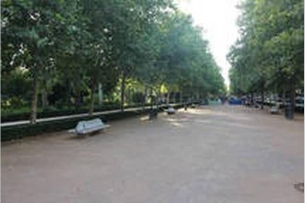 Fabuloso Piso Junto A Paseo De La Bomba Гранада Экстерьер фото